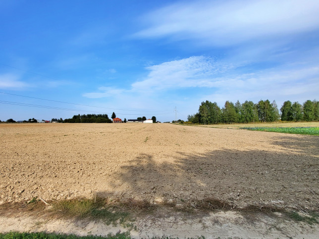 Działka Sprzedaż Dziuchów 3