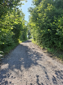 Działka Sprzedaż Międzyrzecze Górne