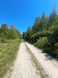 Działka Sprzedaż Otwock Pokojowa