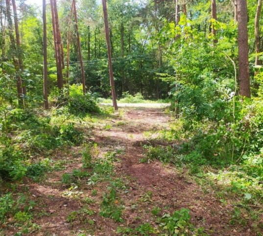 Działka Sprzedaż Kruszówiec Nowa 7