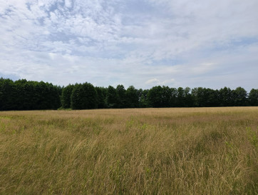 Działka Sprzedaż Celinów Polnych Kwiatów