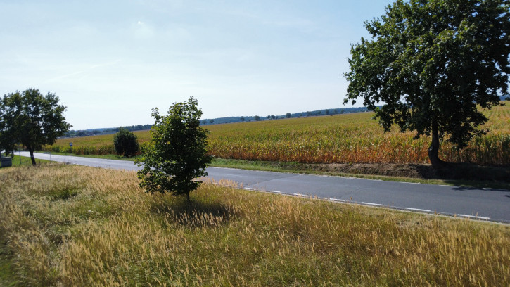 Działka Sprzedaż Bytyń Bosmańska 8