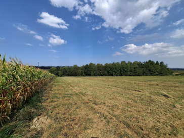 Działka Sprzedaż Rudzica