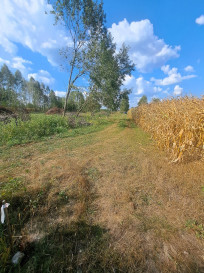 Działka Sprzedaż Brończany