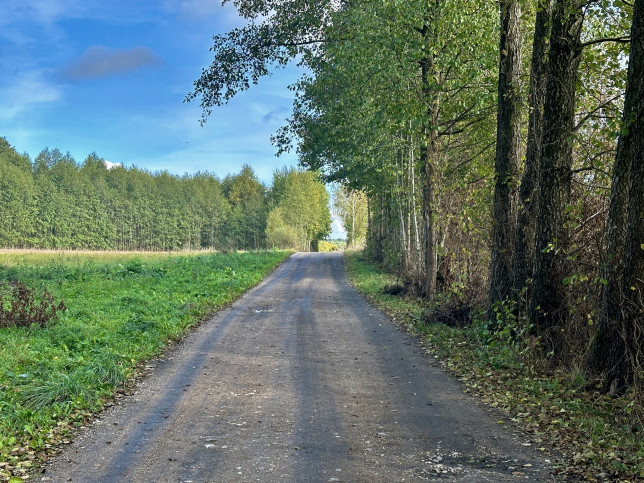 Działka Sprzedaż Tołcze Kwiatowa 4