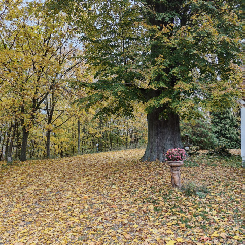 Dom Sprzedaż Górki Małe 7