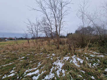 Działka Sprzedaż Mykanów Akacjowa