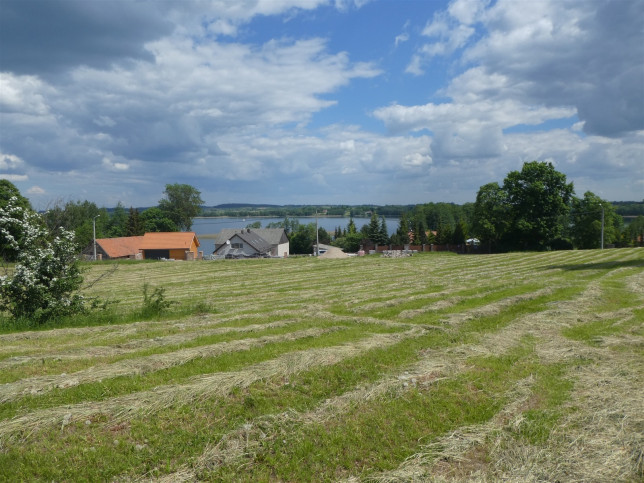 Działka Sprzedaż Orzechowo 7