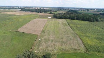 Działka Sprzedaż Golubie