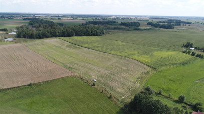 Działka Sprzedaż Golubie