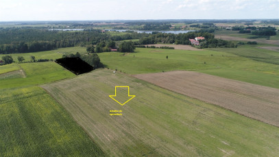 Działka Sprzedaż Golubie