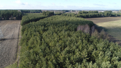 Działka Sprzedaż Ciemnoszyje