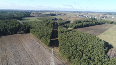 Działka Sprzedaż Ciemnoszyje
