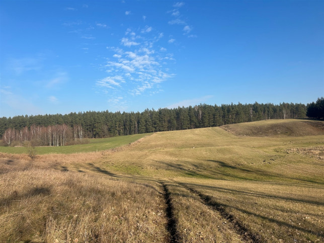 Działka Sprzedaż Panistruga 2