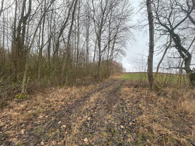 Działka Sprzedaż Koziki 2