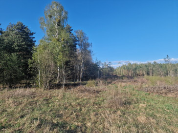 Działka Sprzedaż Brzeziny