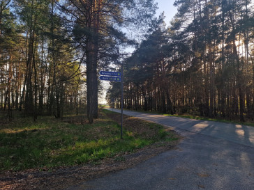 Działka Sprzedaż Brzeziny