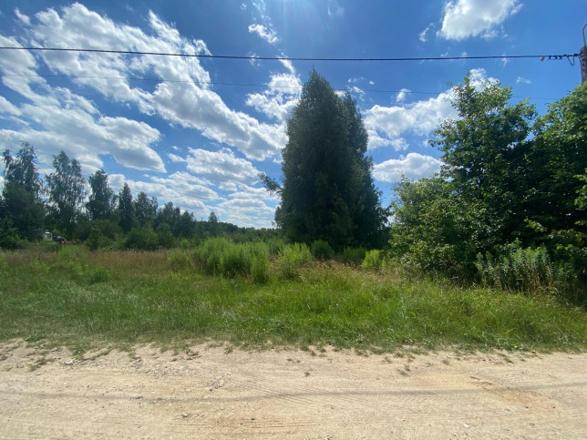 Działka Sprzedaż Białowieża Podolany Drugie Żurawia 4