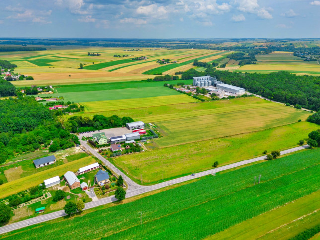 Działka Sprzedaż Pawłów 3