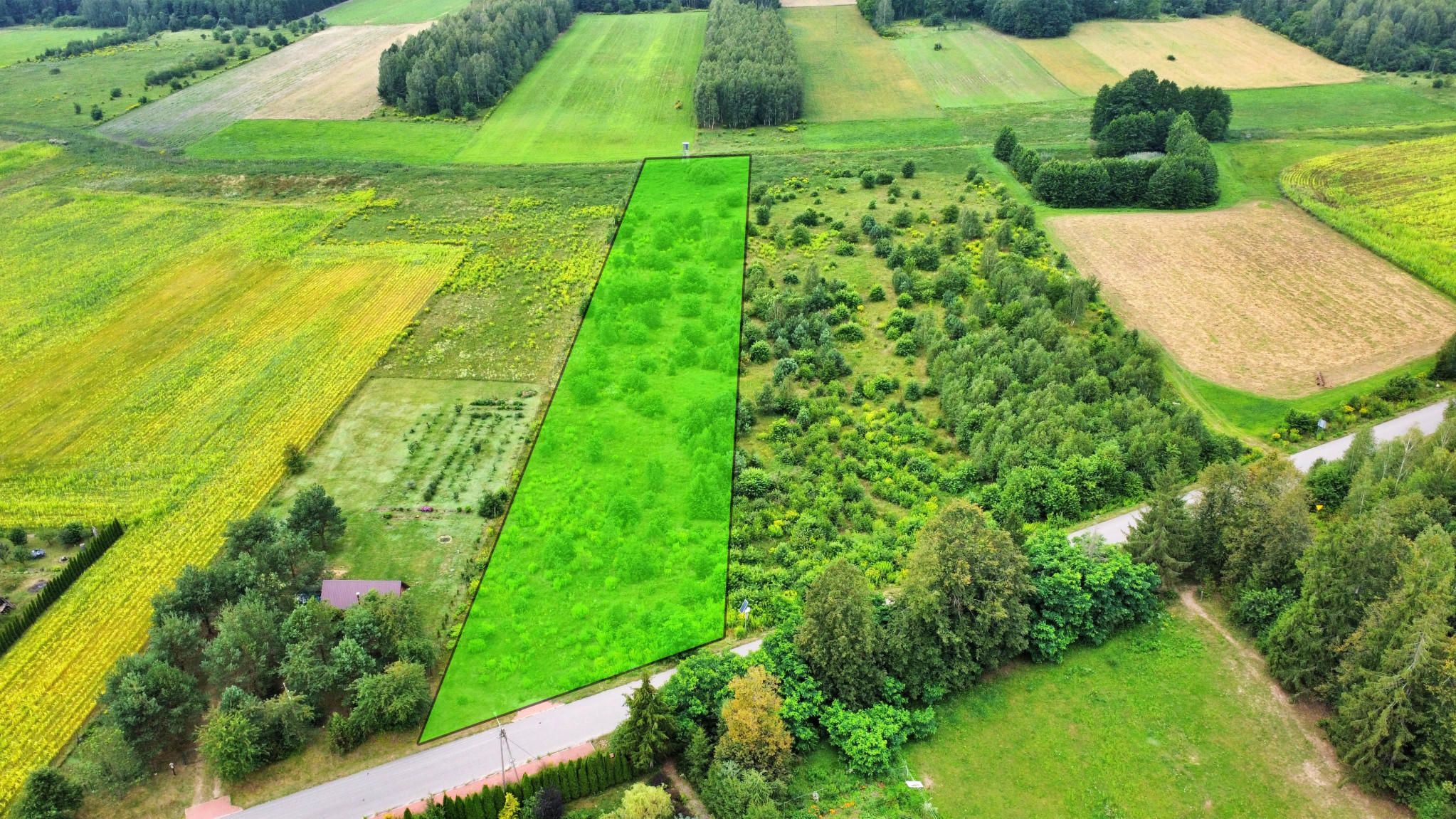 Działka Sprzedaż Górany