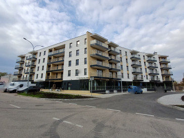 Lokal Wynajem  Centrum Proletariacka