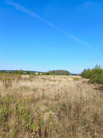 Działka Sprzedaż Czosnów Polna 1