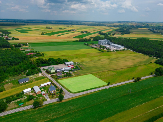 Działka Sprzedaż Pawłów 3