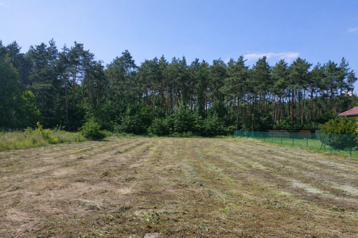 Działka Sprzedaż Zakrzewo Gajowa 2