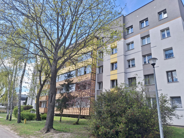 Mieszkanie Sprzedaż  Leśna Dolina Szarych Szeregów 20
