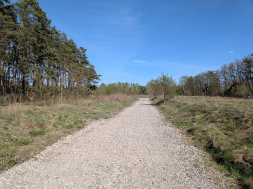 Działka Sprzedaż Żółwin