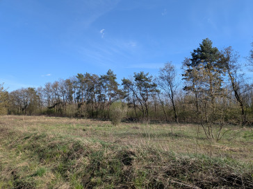 Działka Sprzedaż Żółwin