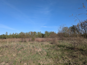 Działka Sprzedaż Żółwin