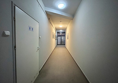 Lokal Wynajem Białystok Sienkiewicza Henryka Sienkiewicza