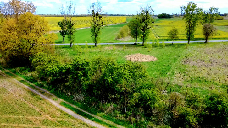 Działka Sprzedaż Dłużyce 6