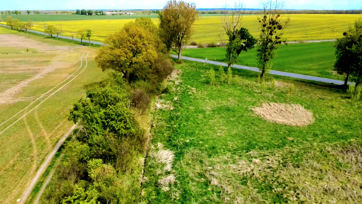 Działka Sprzedaż Dłużyce 4