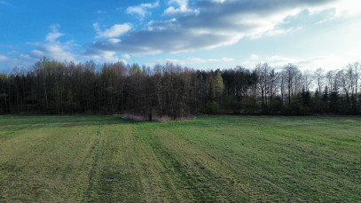 Działka Sprzedaż Celinów Różana