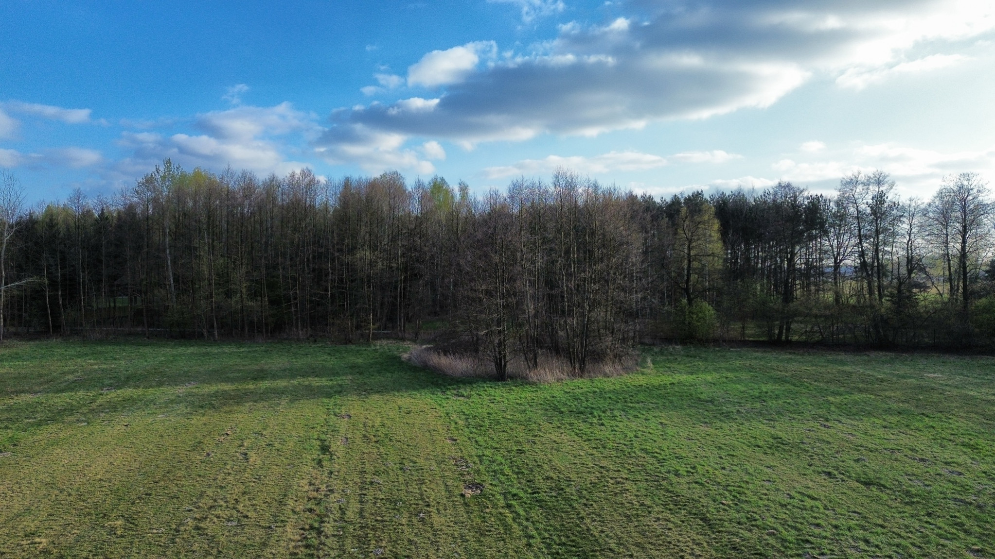Działka Sprzedaż Celinów Różana