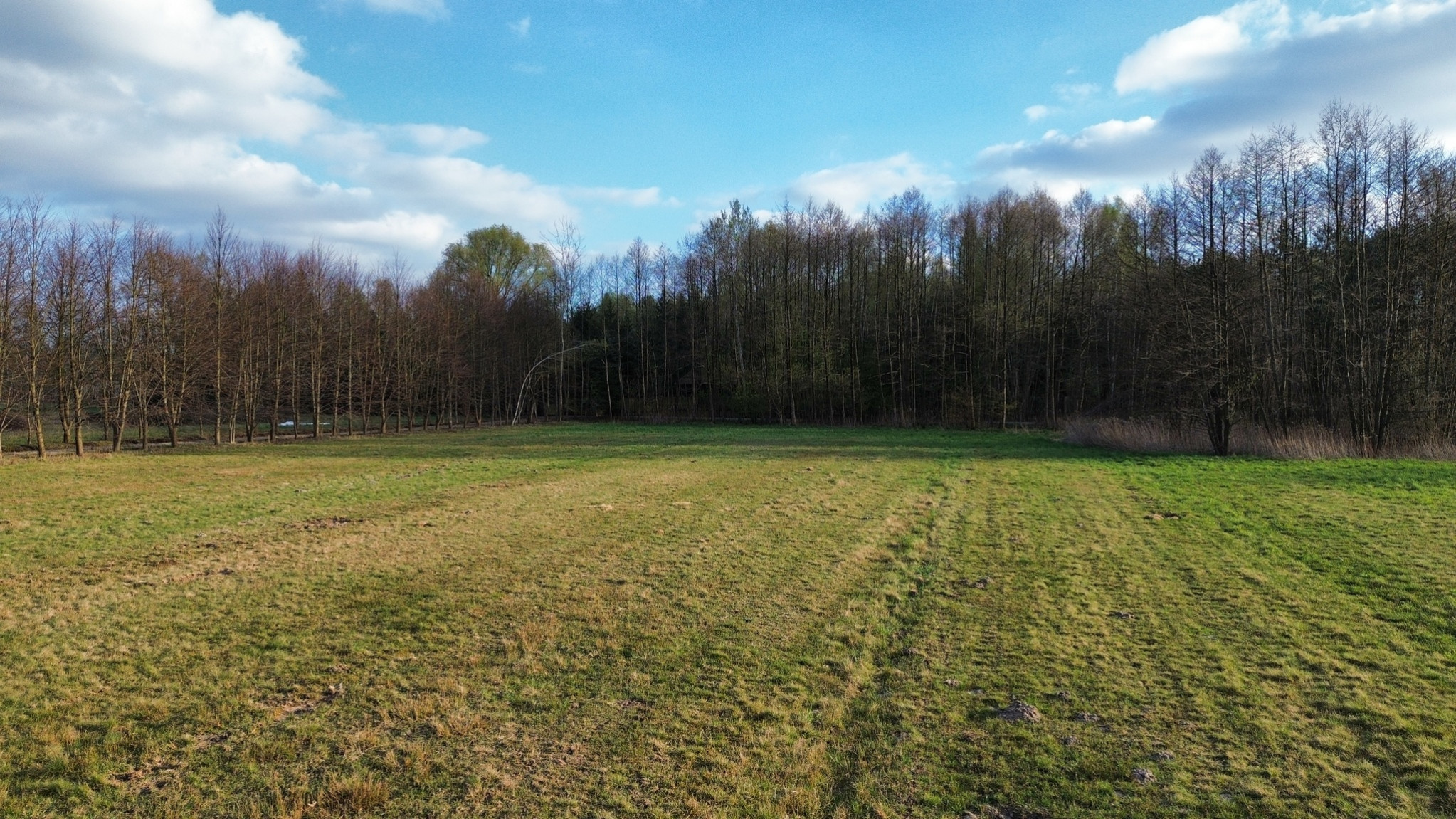 Działka Sprzedaż Celinów Różana