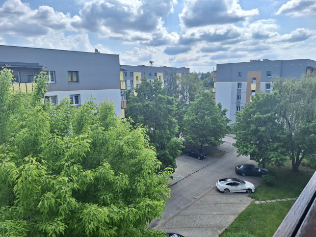 Mieszkanie Sprzedaż  Leśna Dolina Szarych Szeregów 16