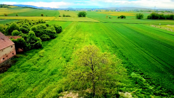 Działka Sprzedaż Piotrowice 3
