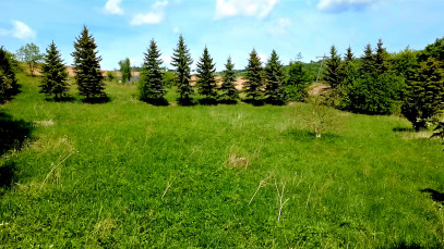 Działka Sprzedaż Gostków