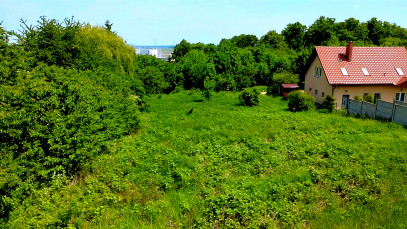 Działka Sprzedaż Dobromierz Zielona