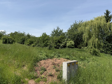 Działka Sprzedaż Dobromierz Zielona