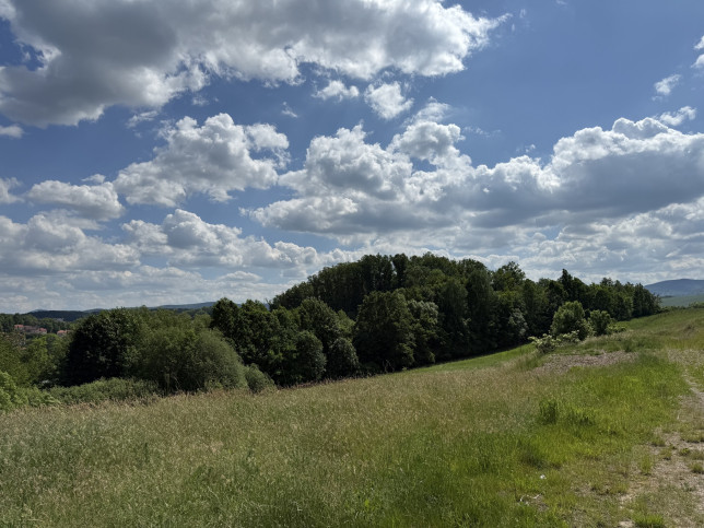 Działka Sprzedaż Bolków Pogodna 9