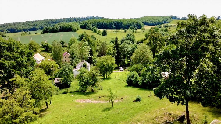 Działka Sprzedaż Stare Rochowice 8
