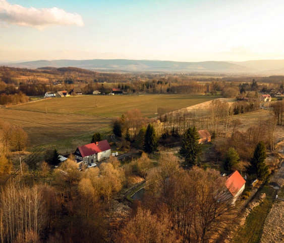 Dom Sprzedaż Zacisze 1