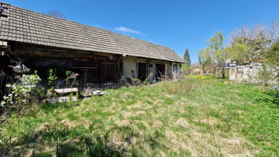 Dom Sprzedaż Białowieża Pałacowa