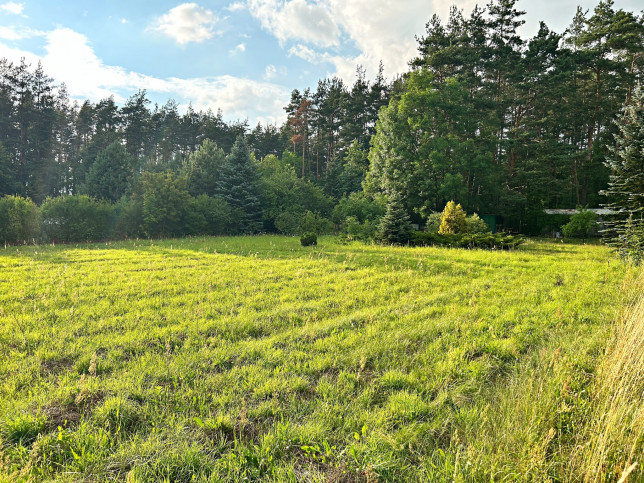 Działka Sprzedaż Lewickie-Stacja Lewickie Stacja 2
