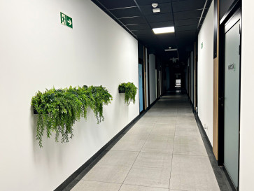 Lokal Sprzedaż  Dziesięciny gen. Gustawa Orlicz-Dreszera