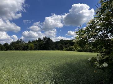 Działka Sprzedaż Snopków